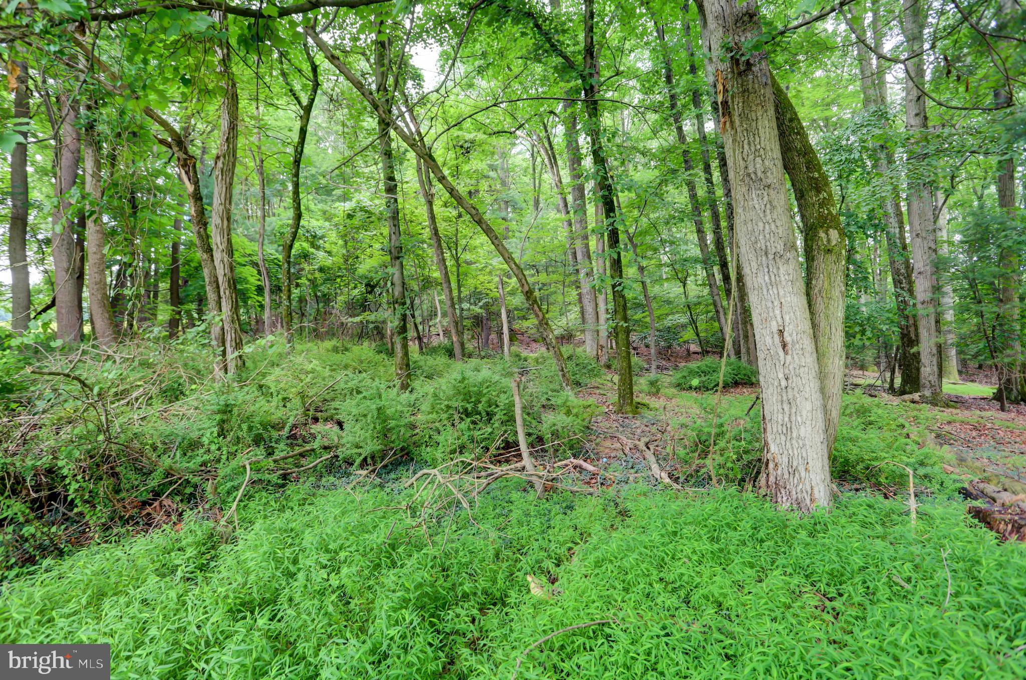 1100 Church Road Orrtanna, PA 17353 - Photo 14 of 38 Gallery Image 14