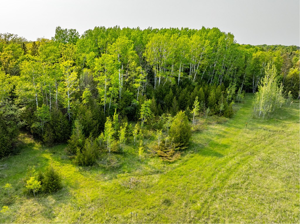 Tbd Fieldcrest Road Sister Bay, WI 54234 - Photo 11 of 24 Gallery Image 11