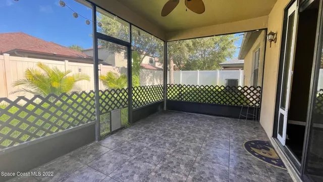 a view of backyard with potted plants and a large tree