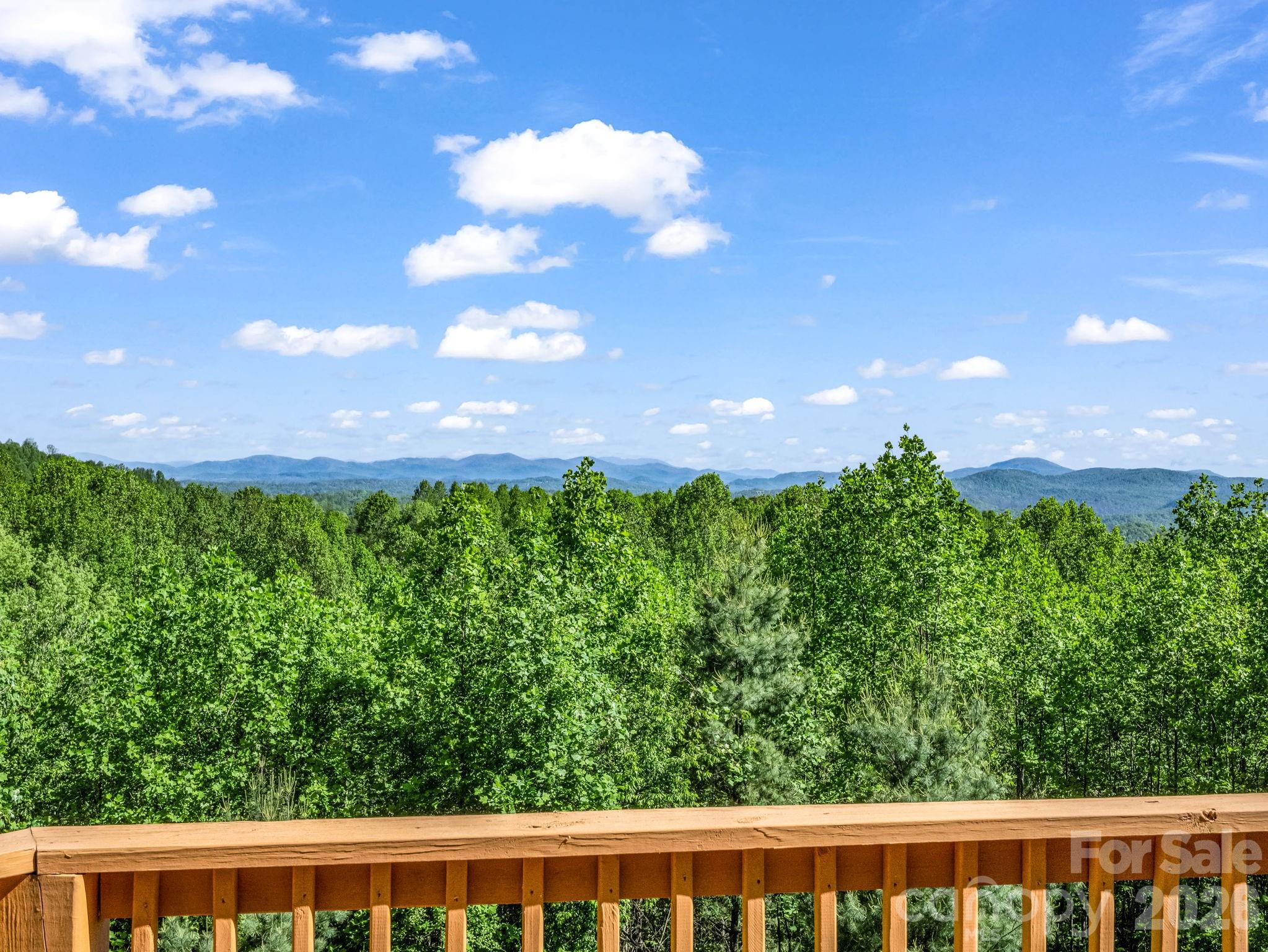 603 Pace Mountain Road Saluda, NC 28773 - Photo 13 of 44 a view of a back yard