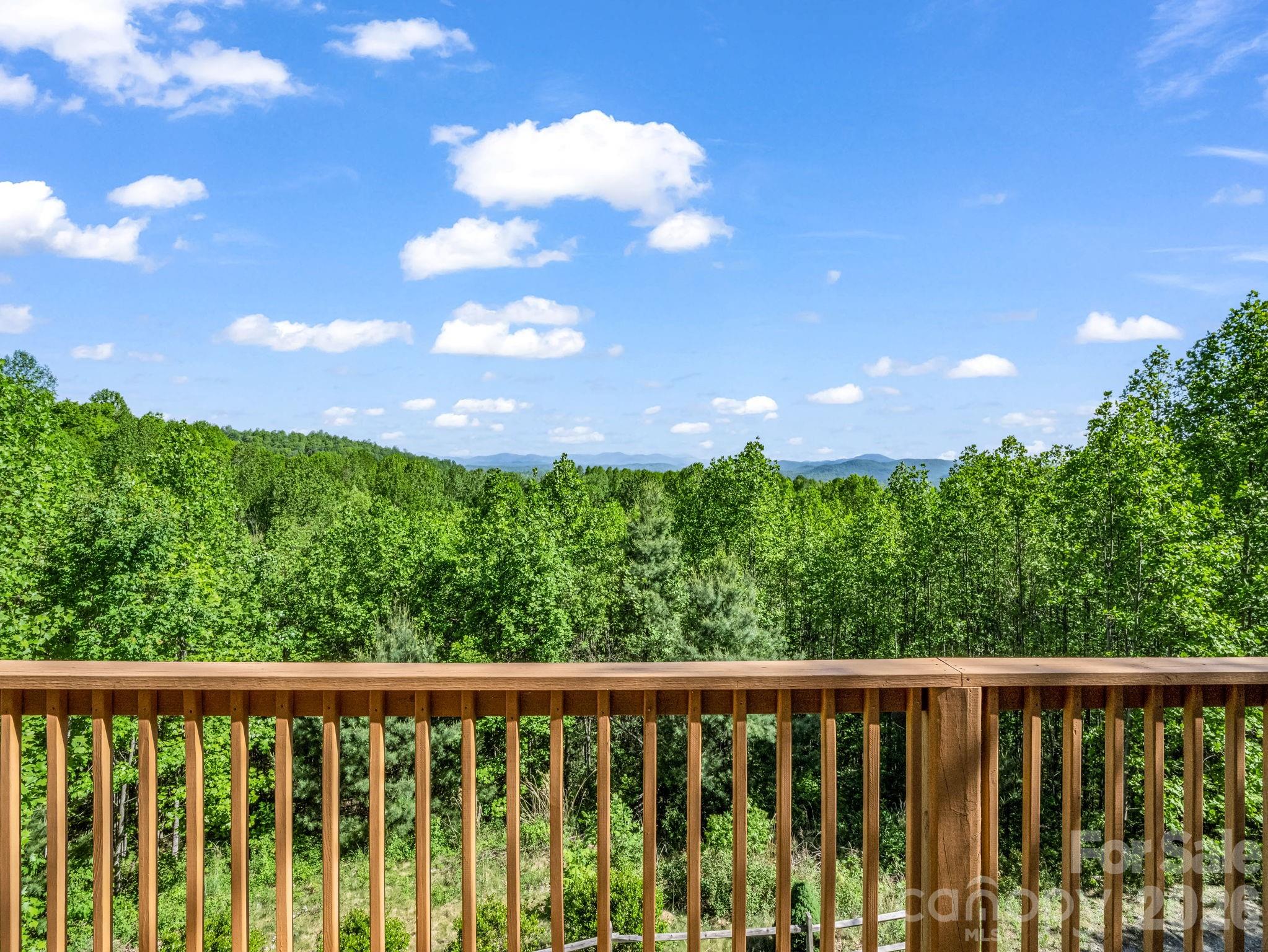 603 Pace Mountain Road Saluda, NC 28773 - Photo 14 of 44 a view of a green yard