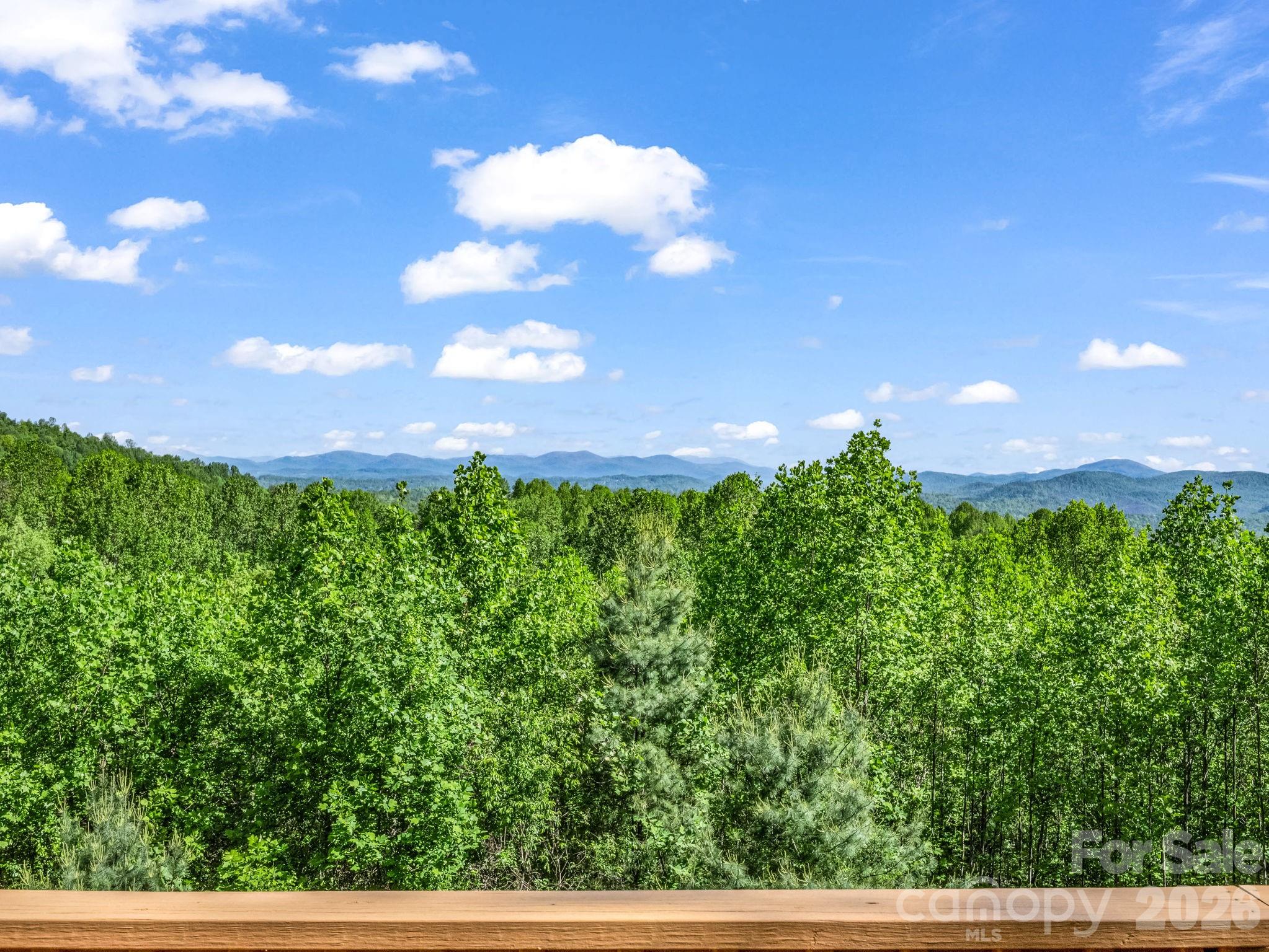 603 Pace Mountain Road Saluda, NC 28773 - Photo 15 of 44 a view of a bunch of trees