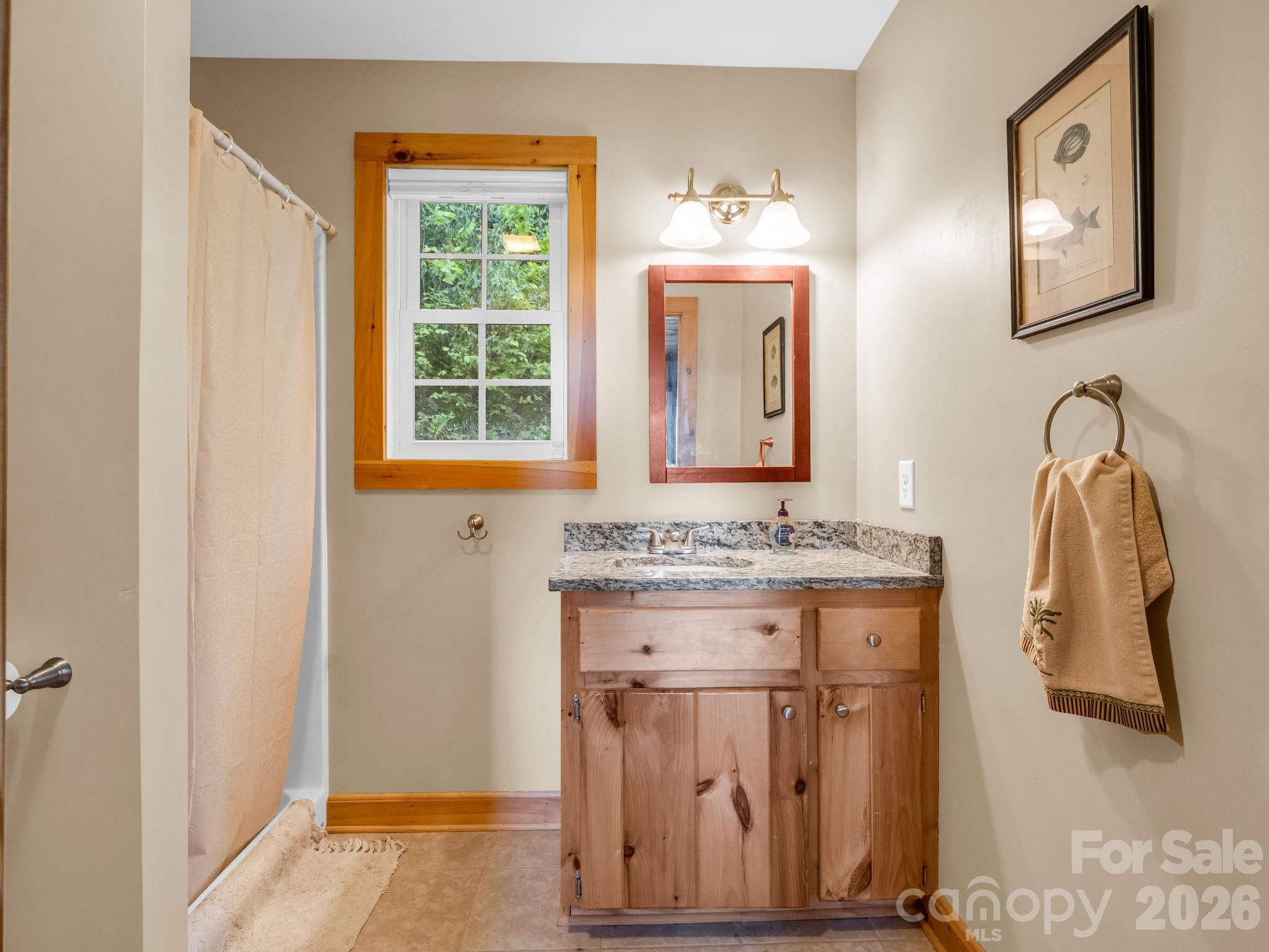 603 Pace Mountain Road Saluda, NC 28773 - Photo 23 of 44 a bathroom with a sink and a mirror