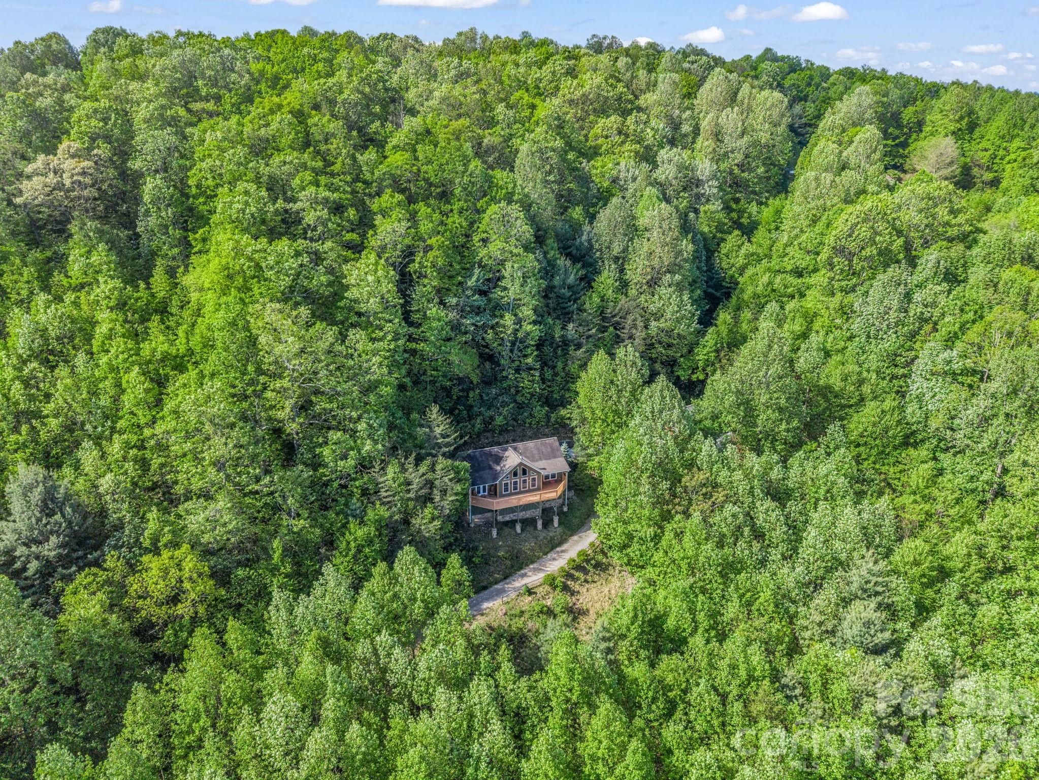 603 Pace Mountain Road Saluda, NC 28773 - Photo 34 of 44 a view of a lush green forest with lawn chairs and a bench