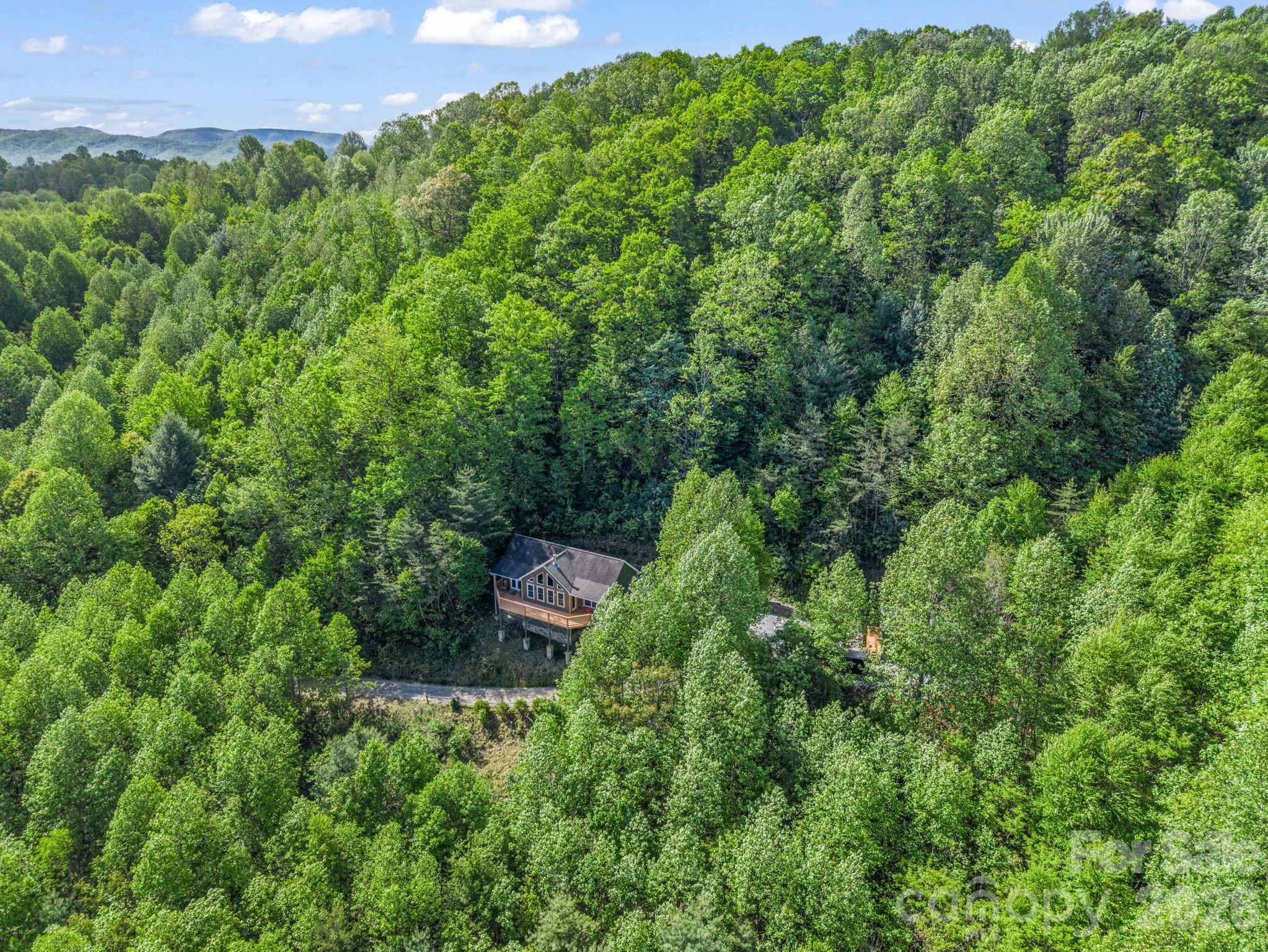 603 Pace Mountain Road Saluda, NC 28773 - Photo 36 of 44 a view of a outdoor space and a yard