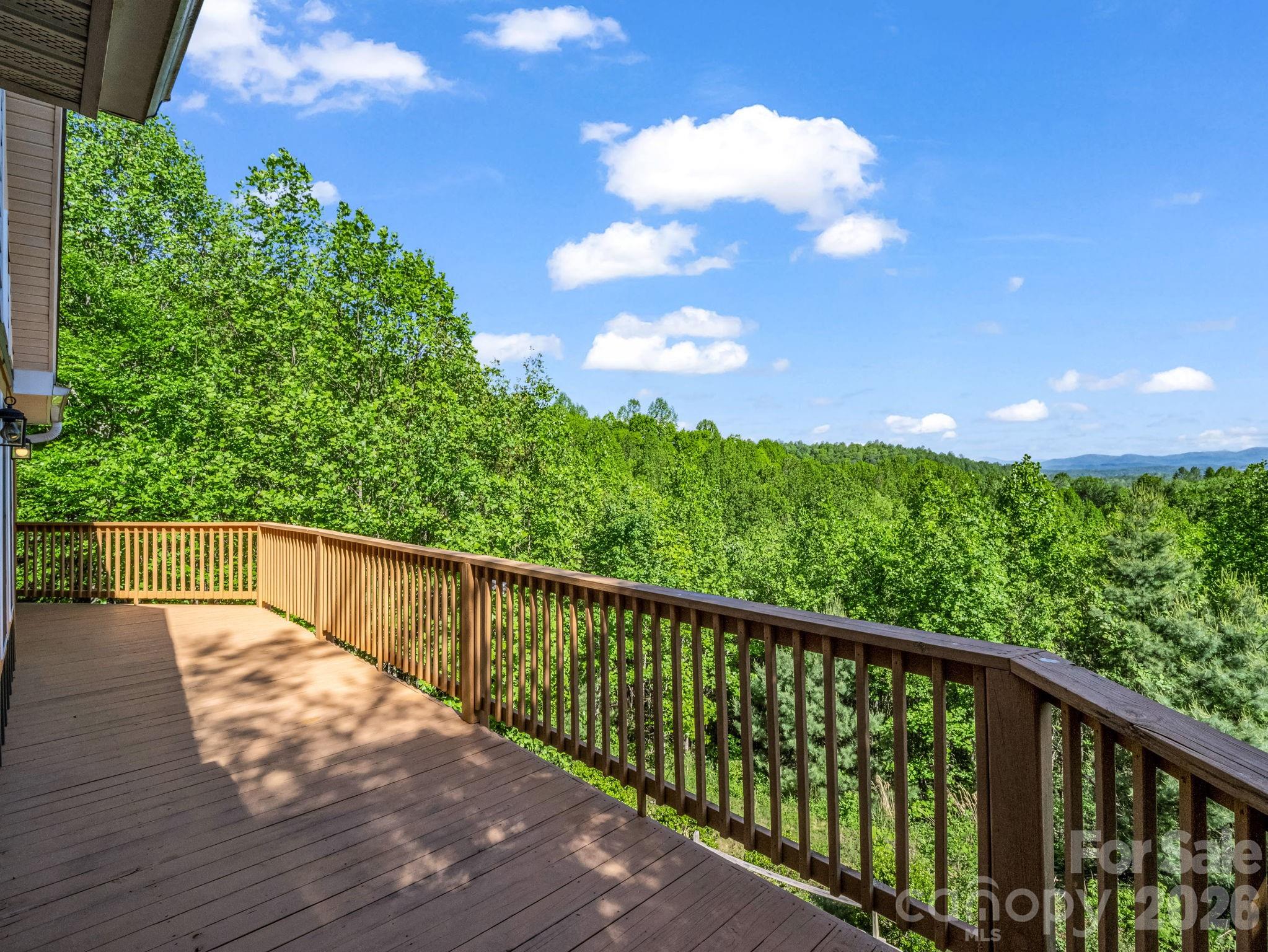 603 Pace Mountain Road Saluda, NC 28773 - Photo 38 of 44 a view of balcony and yard