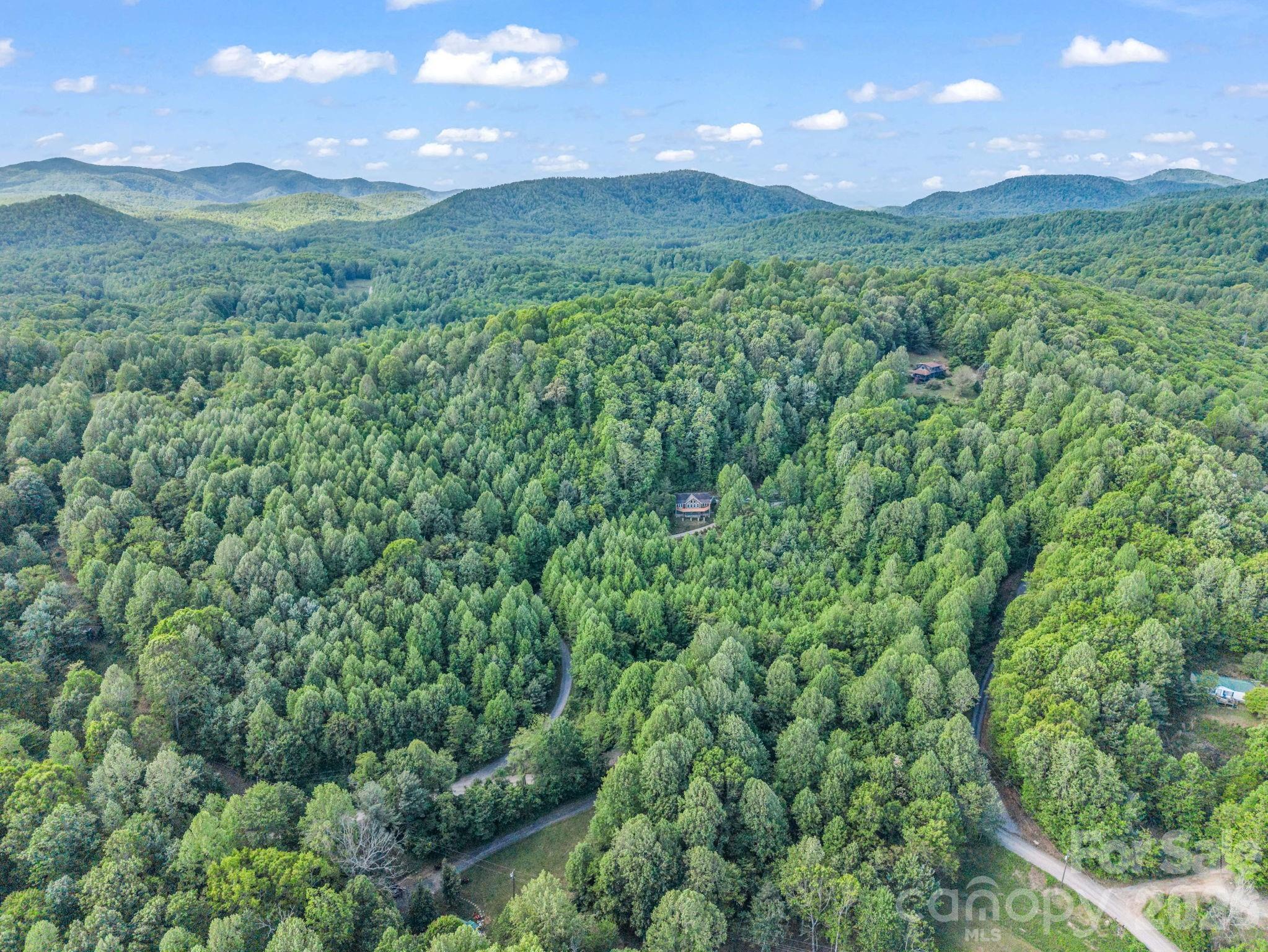 603 Pace Mountain Road Saluda, NC 28773 - Photo 39 of 44 a view of a green field with lots of bushes