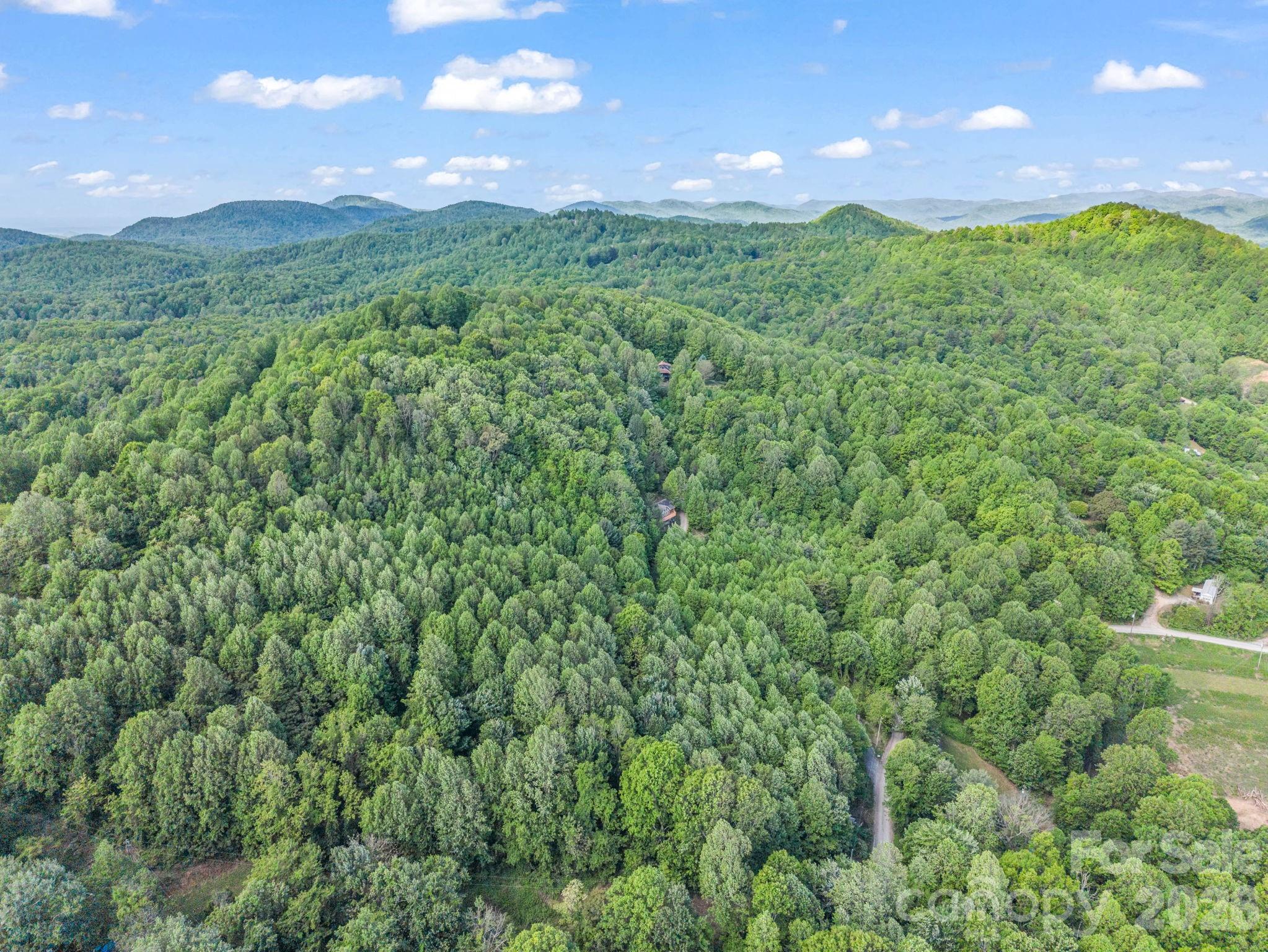 603 Pace Mountain Road Saluda, NC 28773 - Photo 41 of 44 a view of a green field