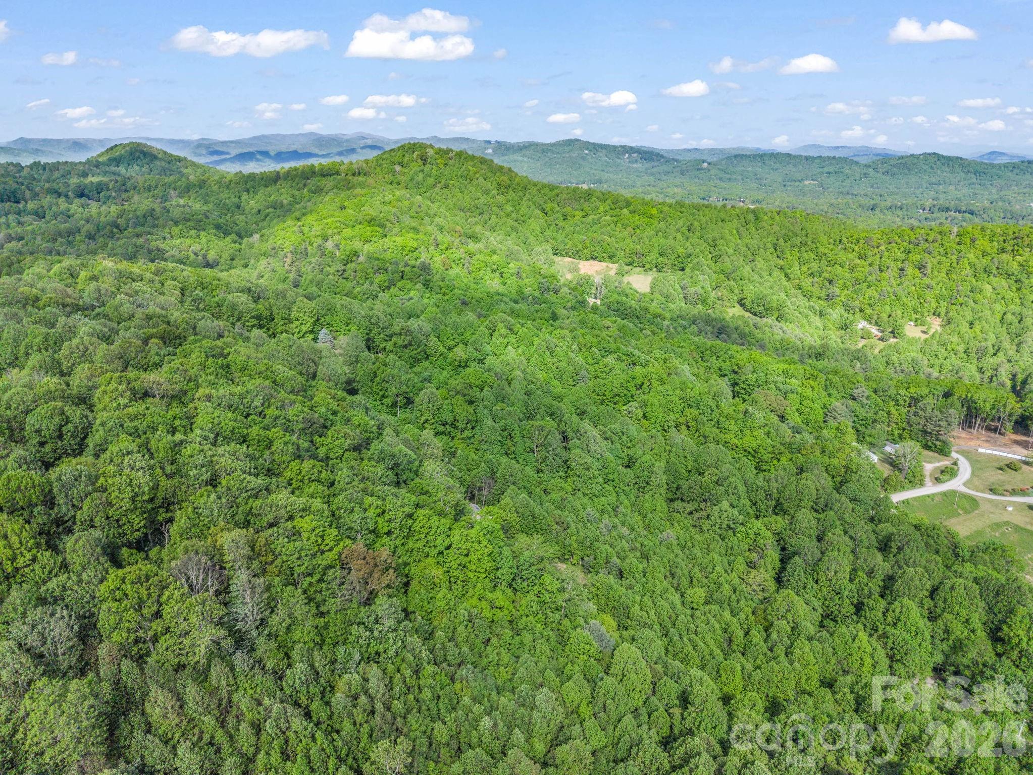 603 Pace Mountain Road Saluda, NC 28773 - Photo 44 of 44