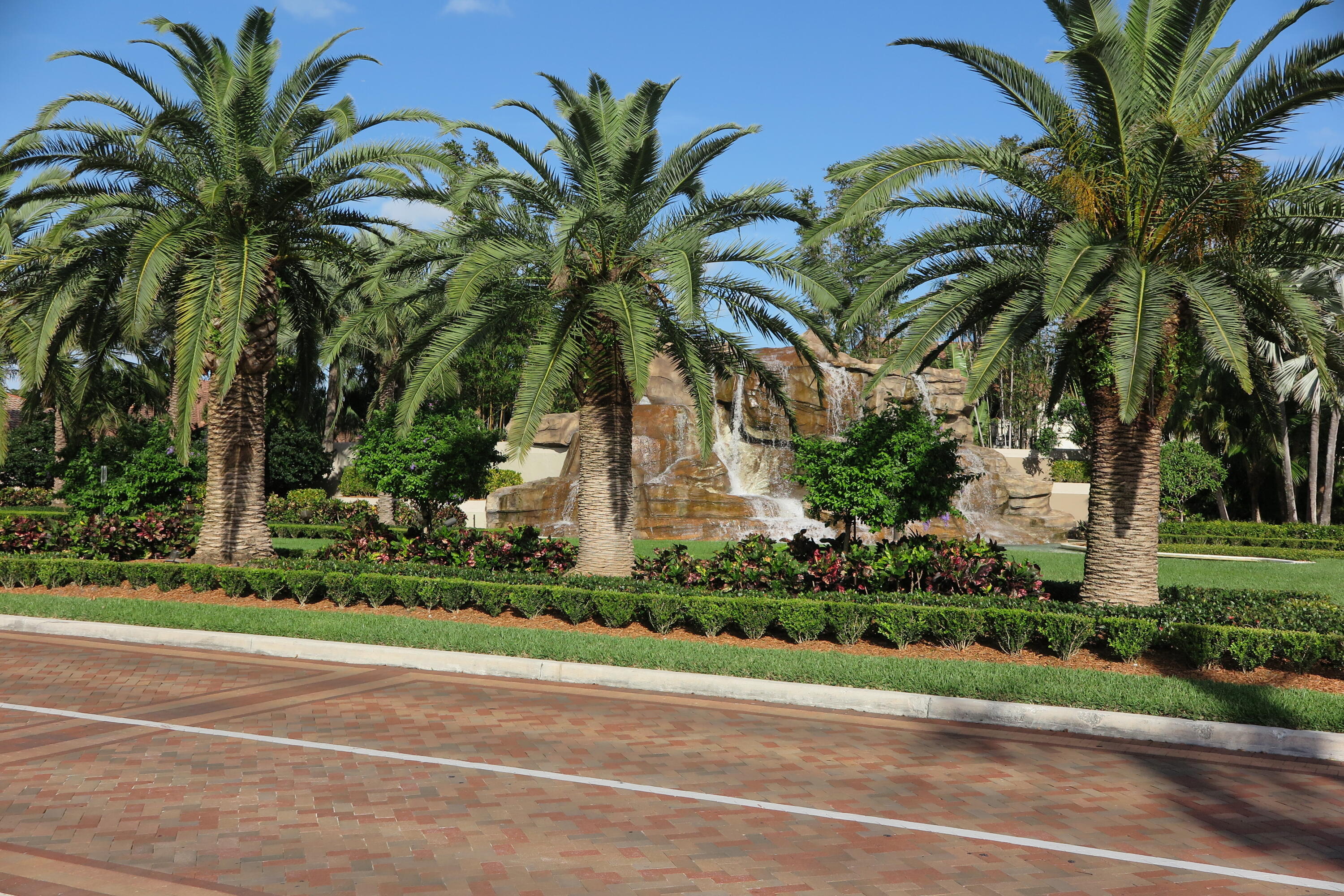 6683 Montego Bay Boulevard, Unit C Boca Raton, FL 33433 - Photo 37 of 37 a view of a palm trees in a yard with palm trees