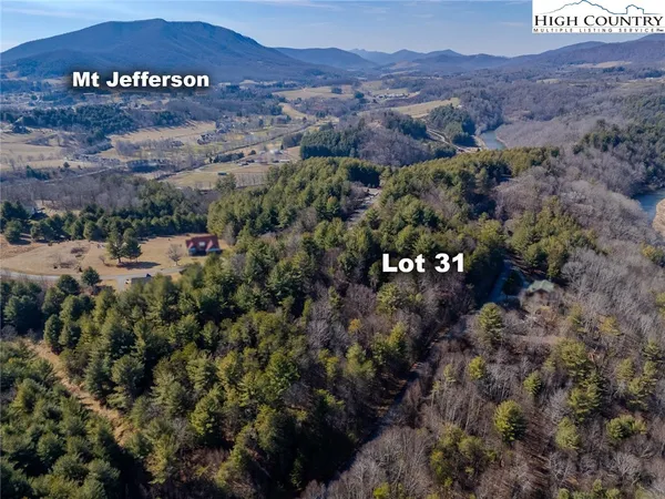 a view of a big yard with an mountain
