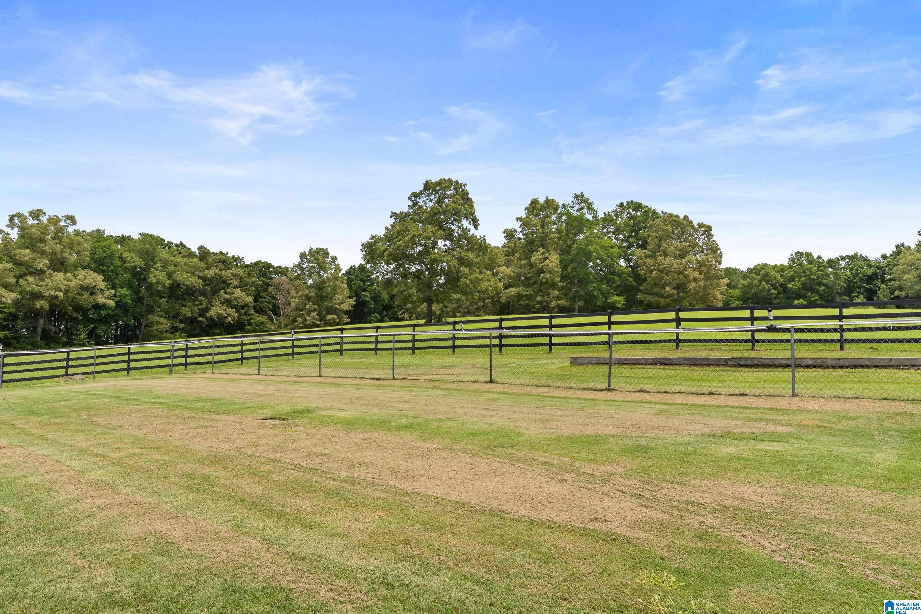 2304 Driving Range Road Cropwell, AL 35054 - Photo 40 of 59