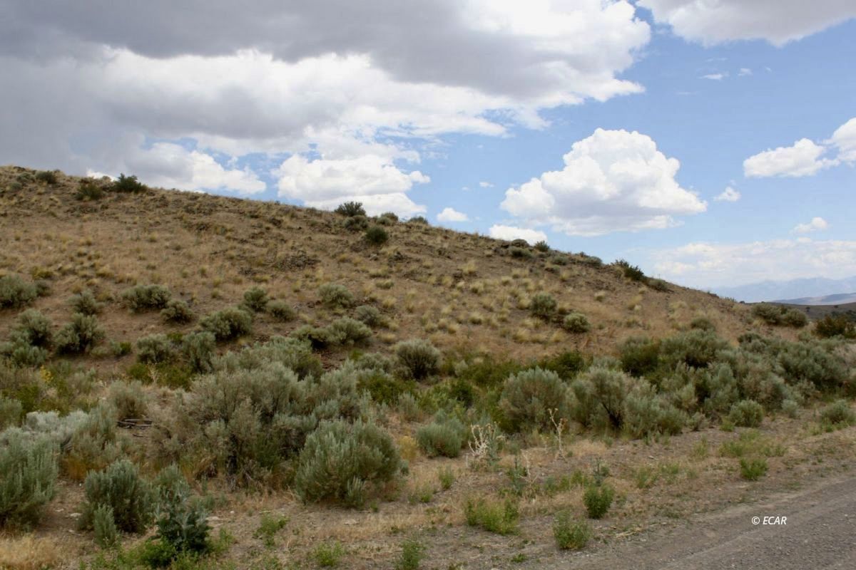 5th Street Elko, NV 89801 - Photo 13 of 20