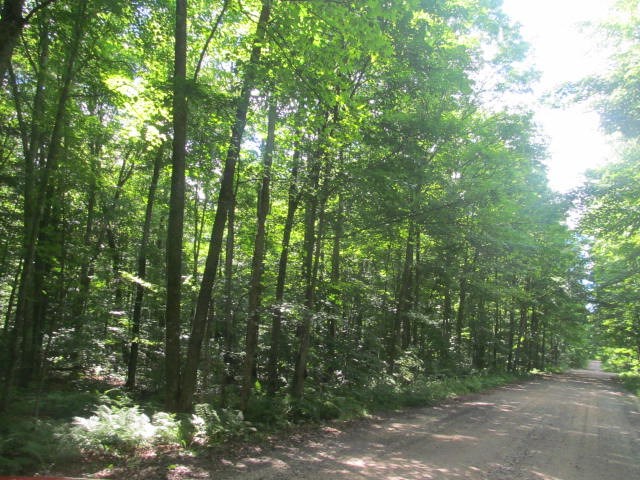 49-acres County Rd A Deerbrook, WI 54424 - Photo 1 of 1