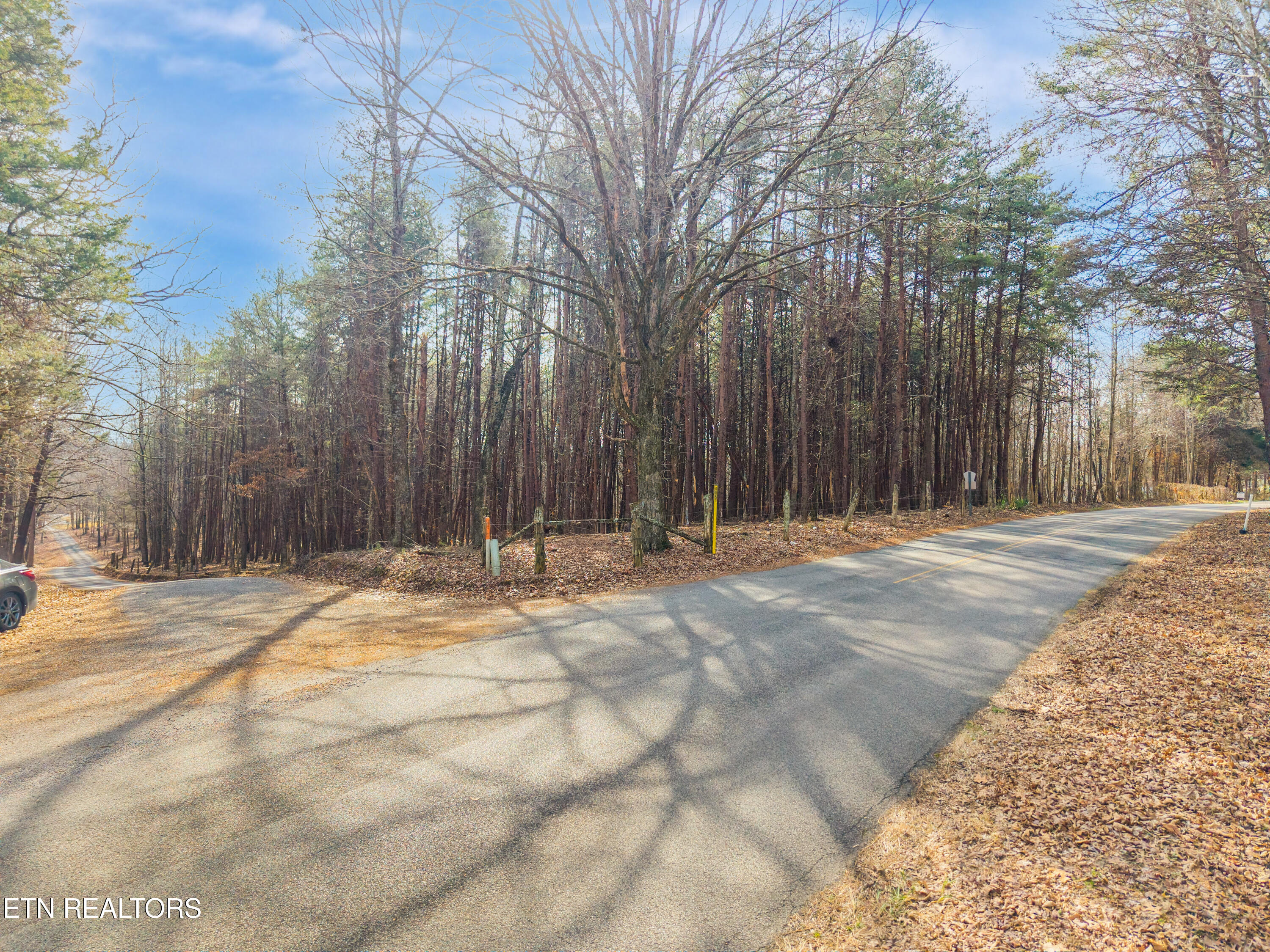 262 Co Road Niota, TN 37826 - Photo 6 of 12 knox_view_media_260_co_rd_3600009