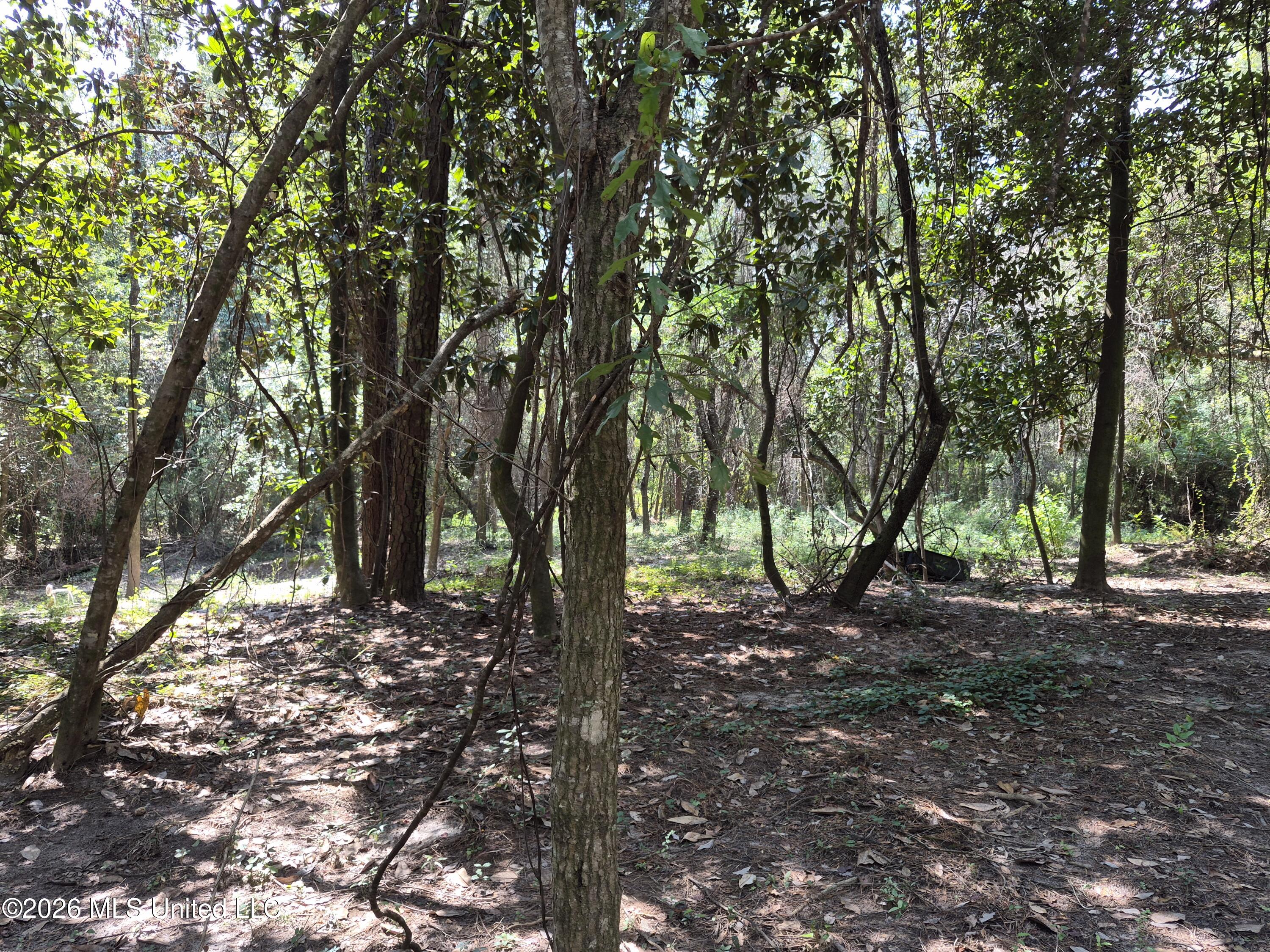 13756 River Road Gulfport, MS 39503 - Photo 81 of 93 Wooded West End