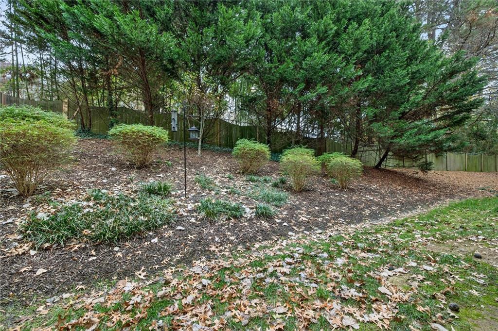 1982 Cobblestone Circle Northeast Brookhaven, GA 30319 - Photo 39 of 51 a view of a forest filled with trees