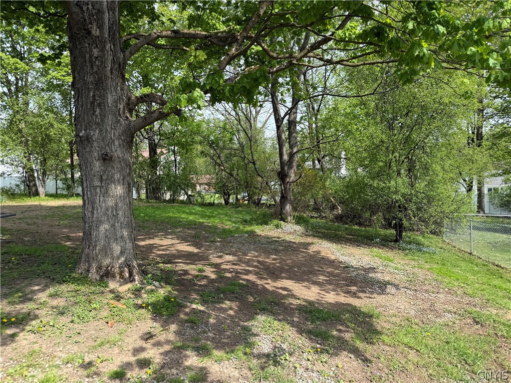 52 Beechwood Road New Hartford, NY 13413 - Photo 3 of 22 Rear yard