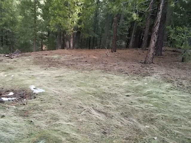 1133 Red Fox Road Clio, CA 96106 - Photo 2 of 11 Gallery Image 2