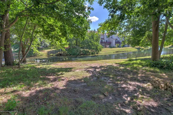 a view of a yard with large trees