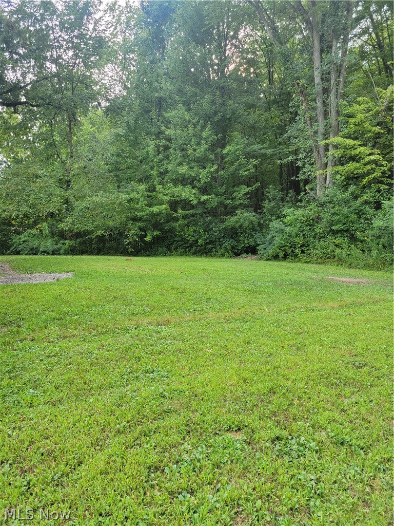 2028 Palmyra Road Southwest Warren, OH 44481 - Photo 20 of 21 Backyard