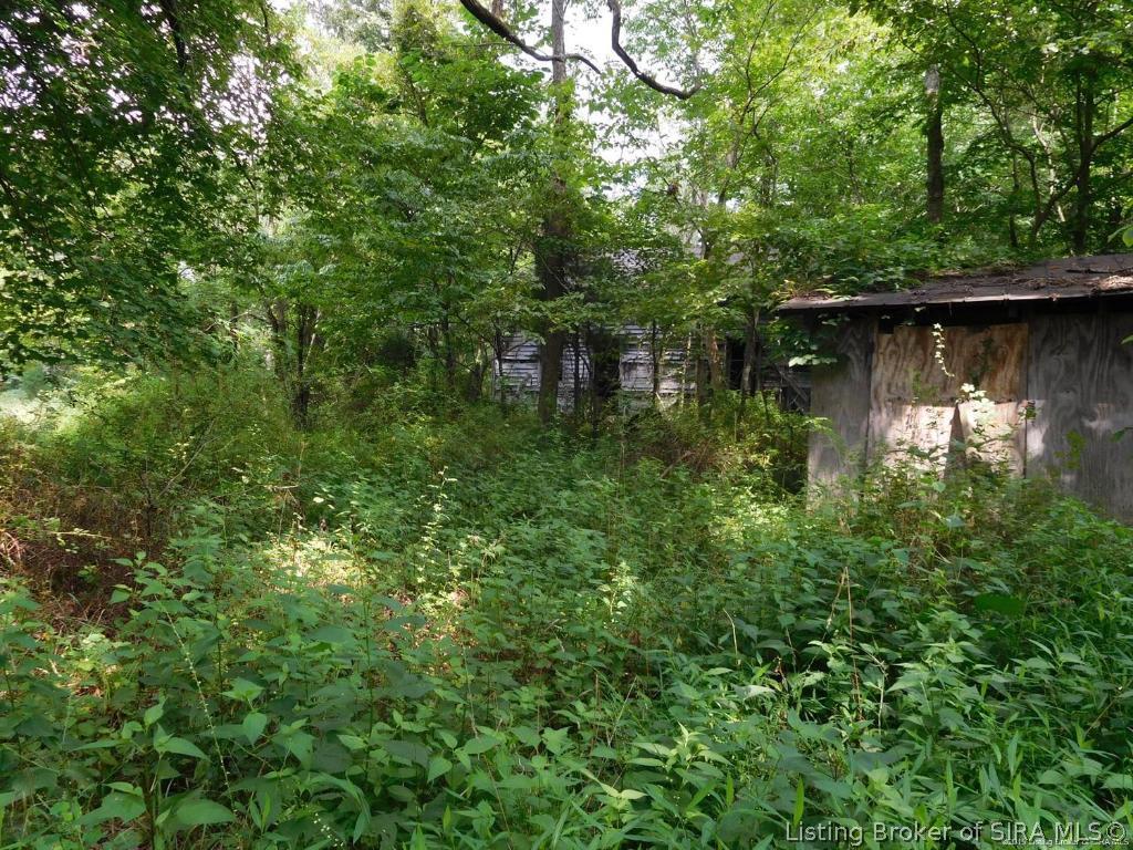 0 East Conway Church Road Pekin, IN 47165 - Photo 13 of 21 Gallery Image 13