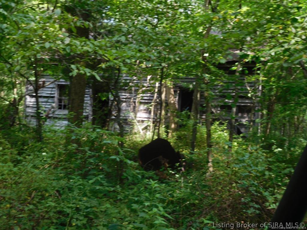 0 East Conway Church Road Pekin, IN 47165 - Photo 14 of 21 Gallery Image 14