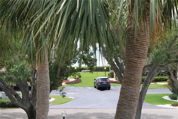 a view of a park with palm trees