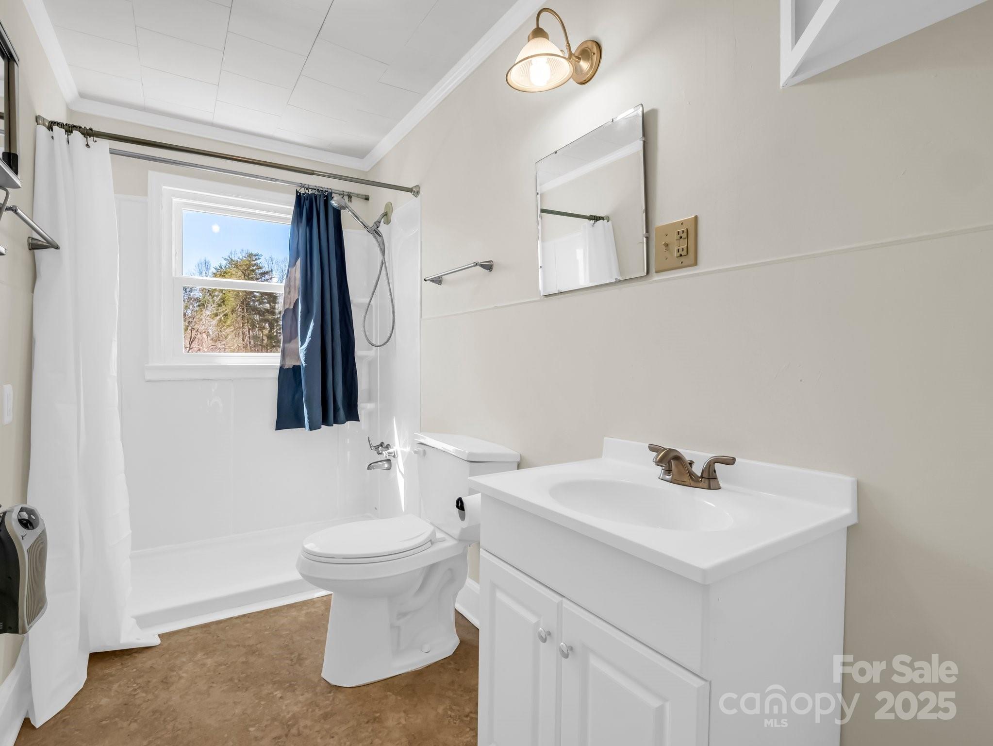 34 Manus Chapel Road Mill Spring, NC 28756 - Photo 27 of 42 a bathroom with a sink a toilet and a mirror