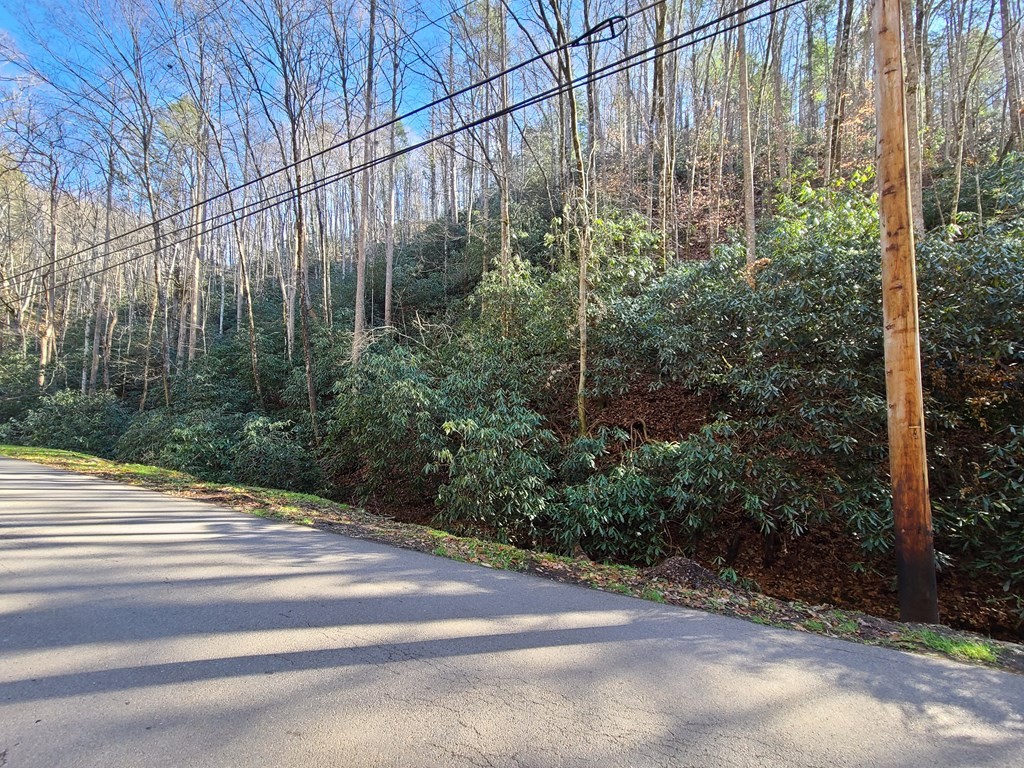 17 Butler Branch Road Gatlinburg, TN 37738 - Photo 2 of 20 Gallery Image 2