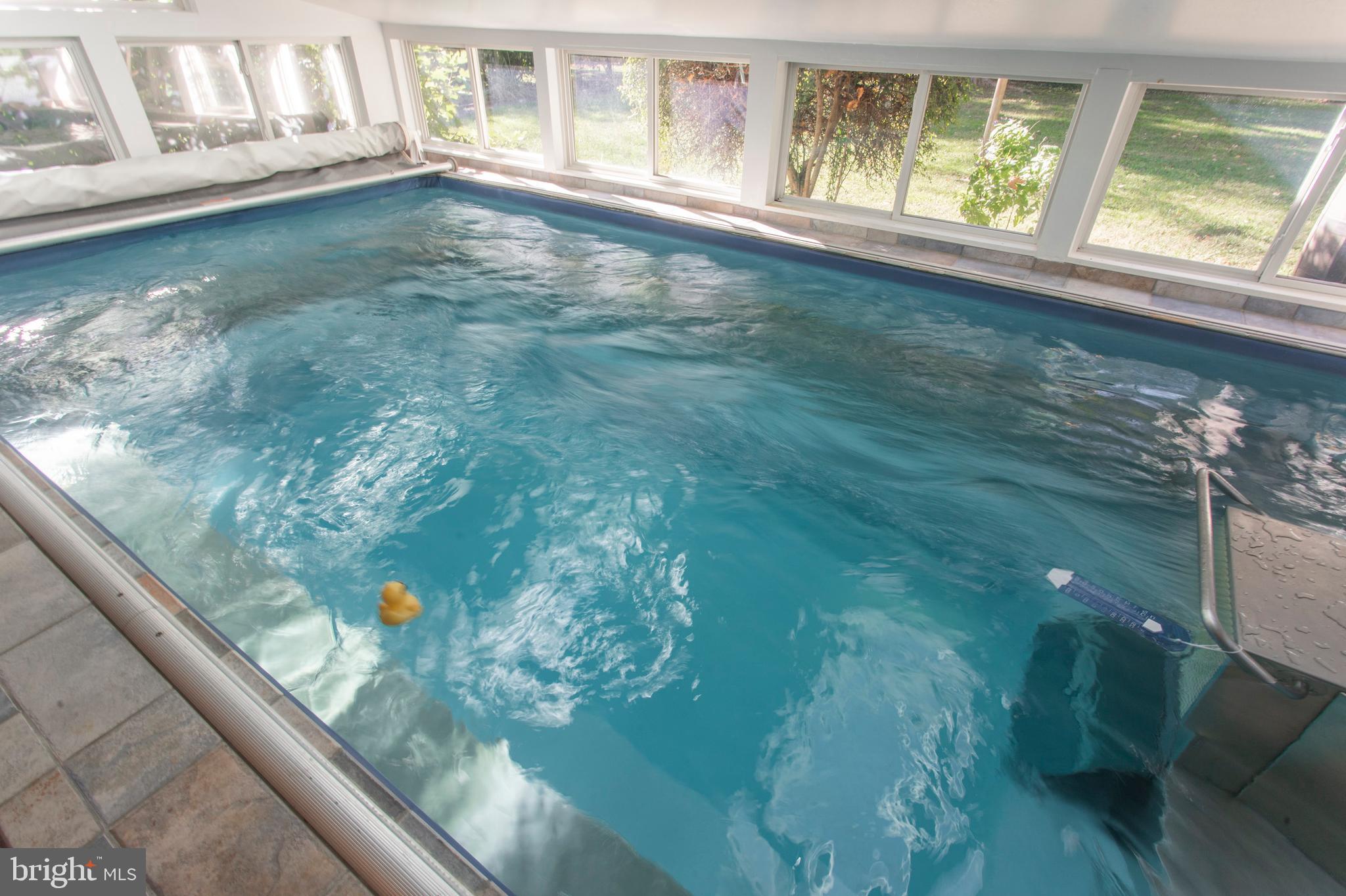 6 Arbor Lea Road Lansdowne, PA 19050 - Photo 37 of 51 Rubber ducky enjoying the pool