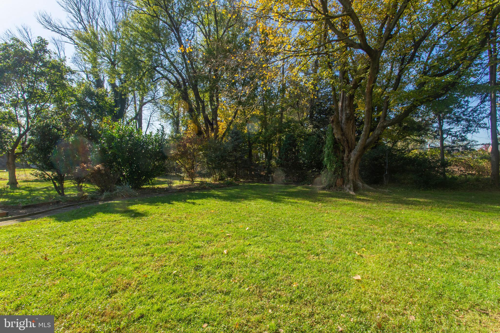 6 Arbor Lea Road Lansdowne, PA 19050 - Photo 47 of 51 Mature trees and specimen plantings