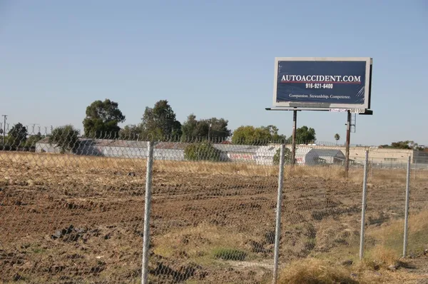 a row of palm trees and a yard with a lake