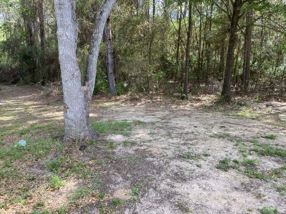 12 Flora Cove Crestview, FL 32539 - Photo 14 of 16 a view of a tree in the middle of a yard