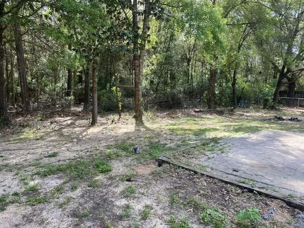 a view of a yard with a tree