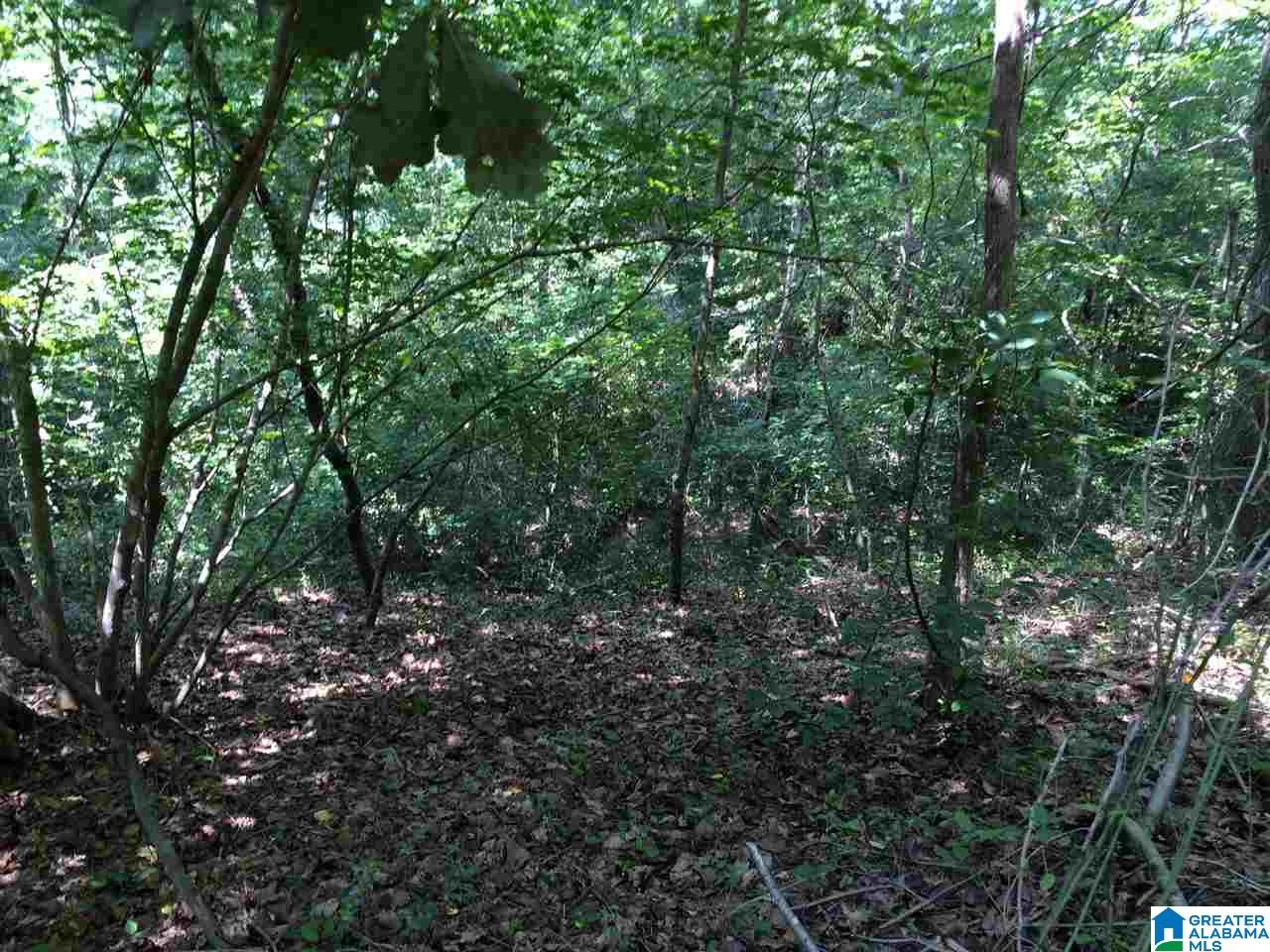Spunky Hollow Road, Unit 18 7 Oneonta, AL 35121 - Photo 40 of 46
