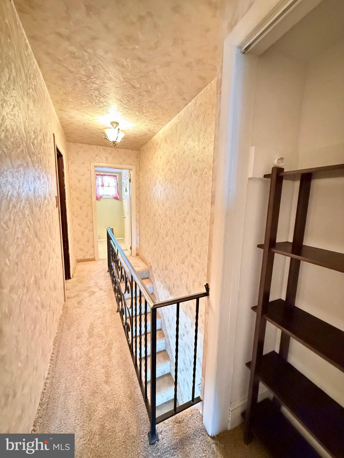 358 Tree Street Philadelphia, PA 19148 - Photo 15 of 21 Gallery Image 15
