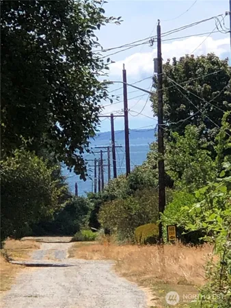 a view of a pathway with a tree