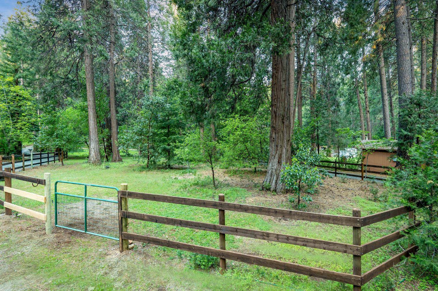 15188 North Bloomfield Road Nevada City, CA 95959 - Photo 61 of 73