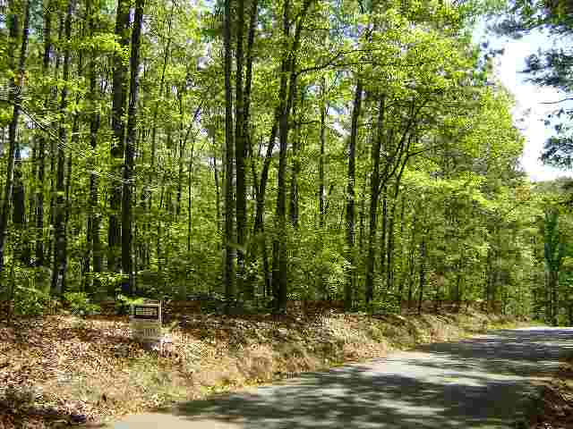 Lot 2 Twin Rivers Salem, SC 29676 - Photo 1 of 4 Gallery Image 1