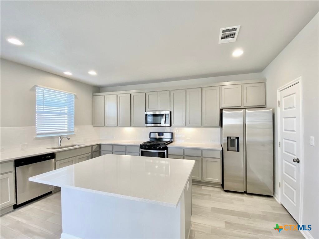 2913 Birch Park Path Leander, TX 78641 - Photo 7 of 38
