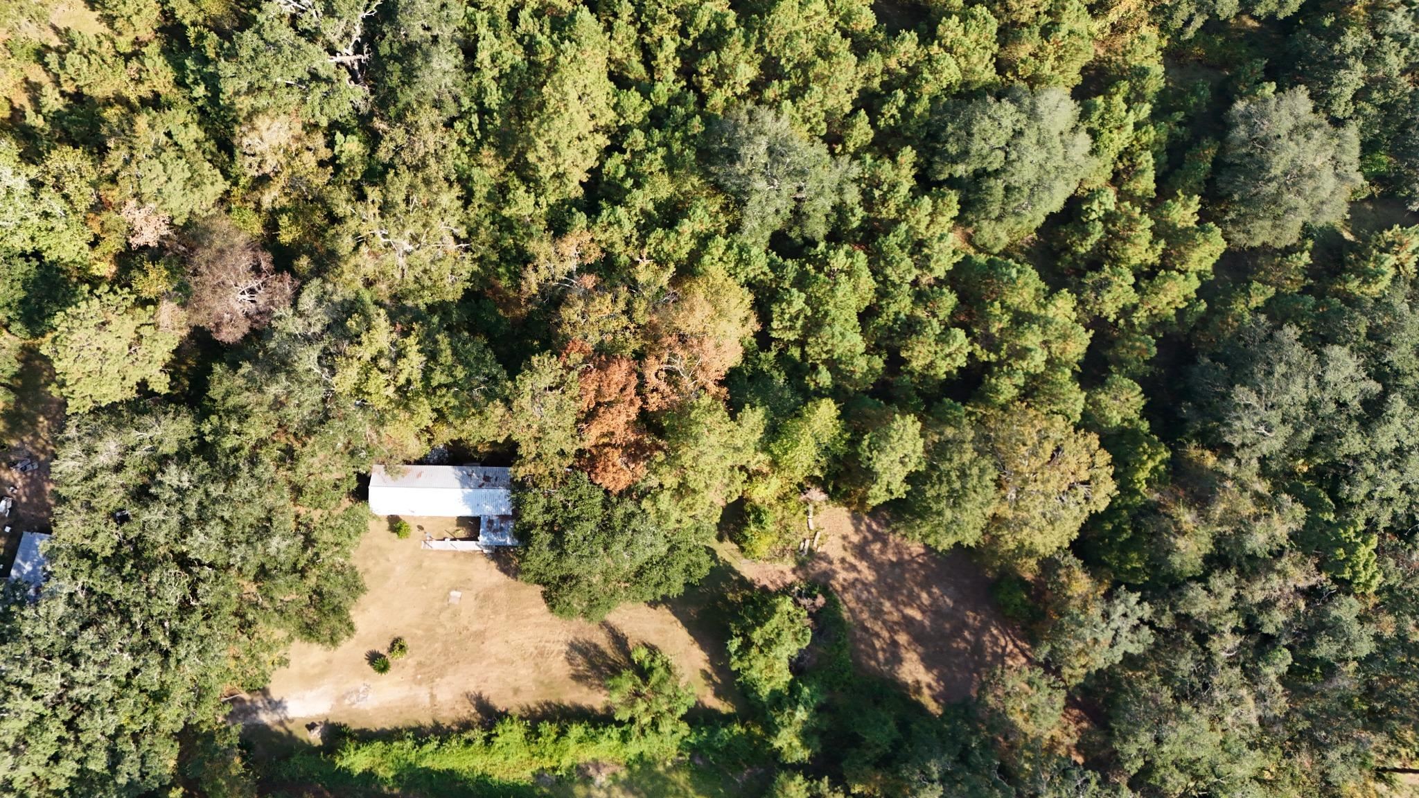 1309 Cook Road Lamont, FL 32336 - Photo 7 of 11 Gallery Image 7