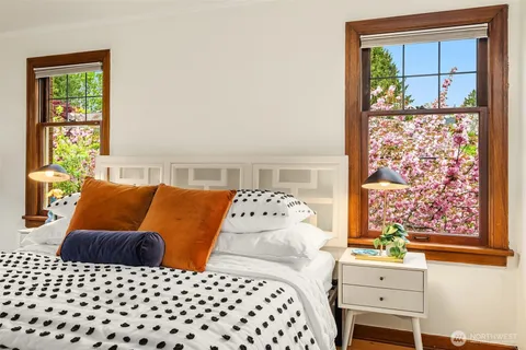 view of a window with a flower plants