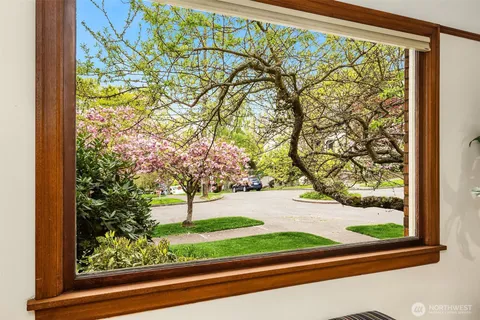 a view of a yard with a tree