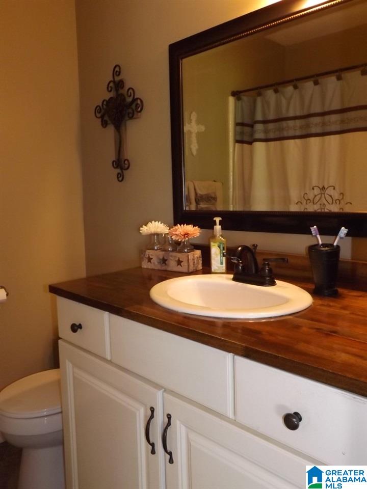 812 Sunshine Avenue Oneonta, AL 35121 - Photo 39 of 47