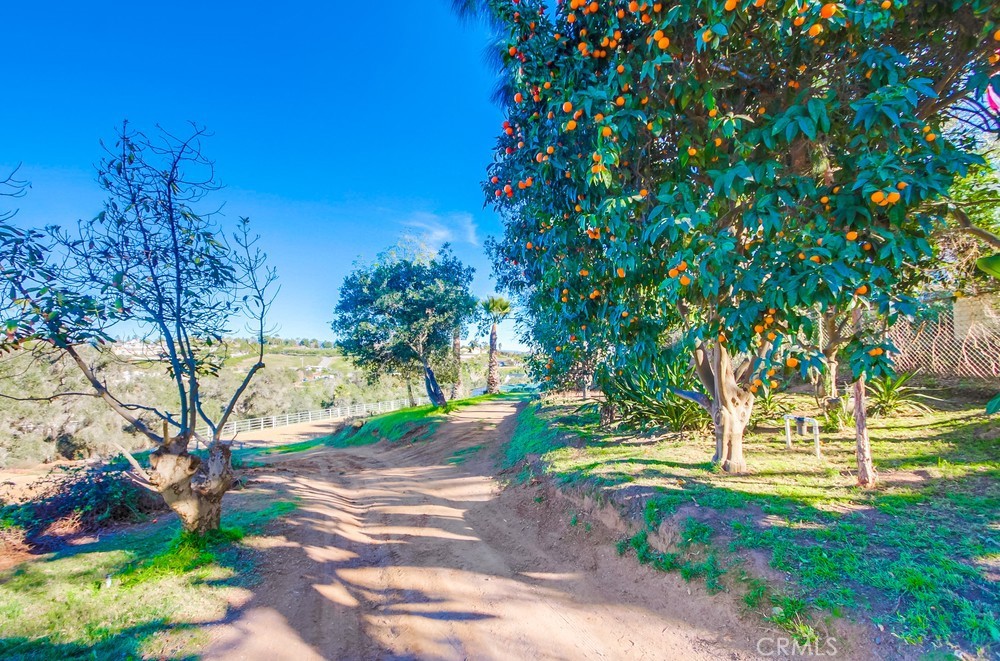 3927 Valle Del Sol Bonsall, CA 92003 - Photo 36 of 41