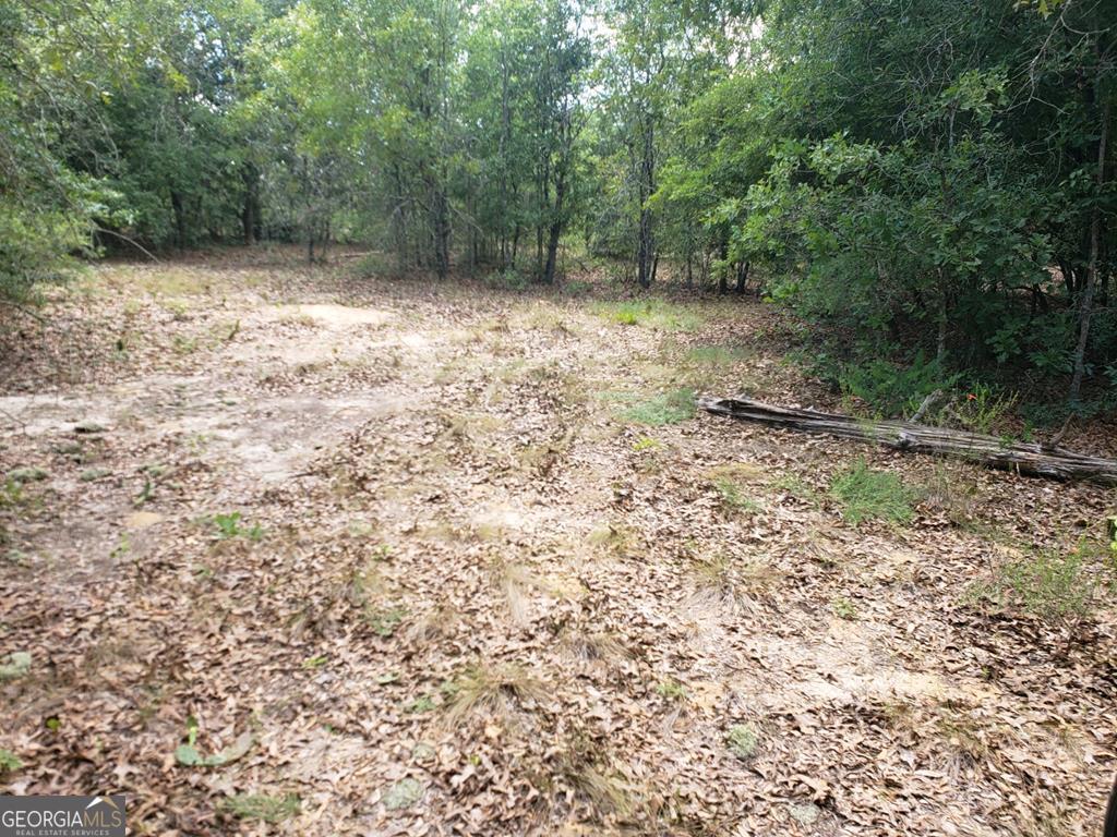 2020 Cobbtown Road Lyons, GA 30436 - Photo 1 of 1 a view of a yard with a tree
