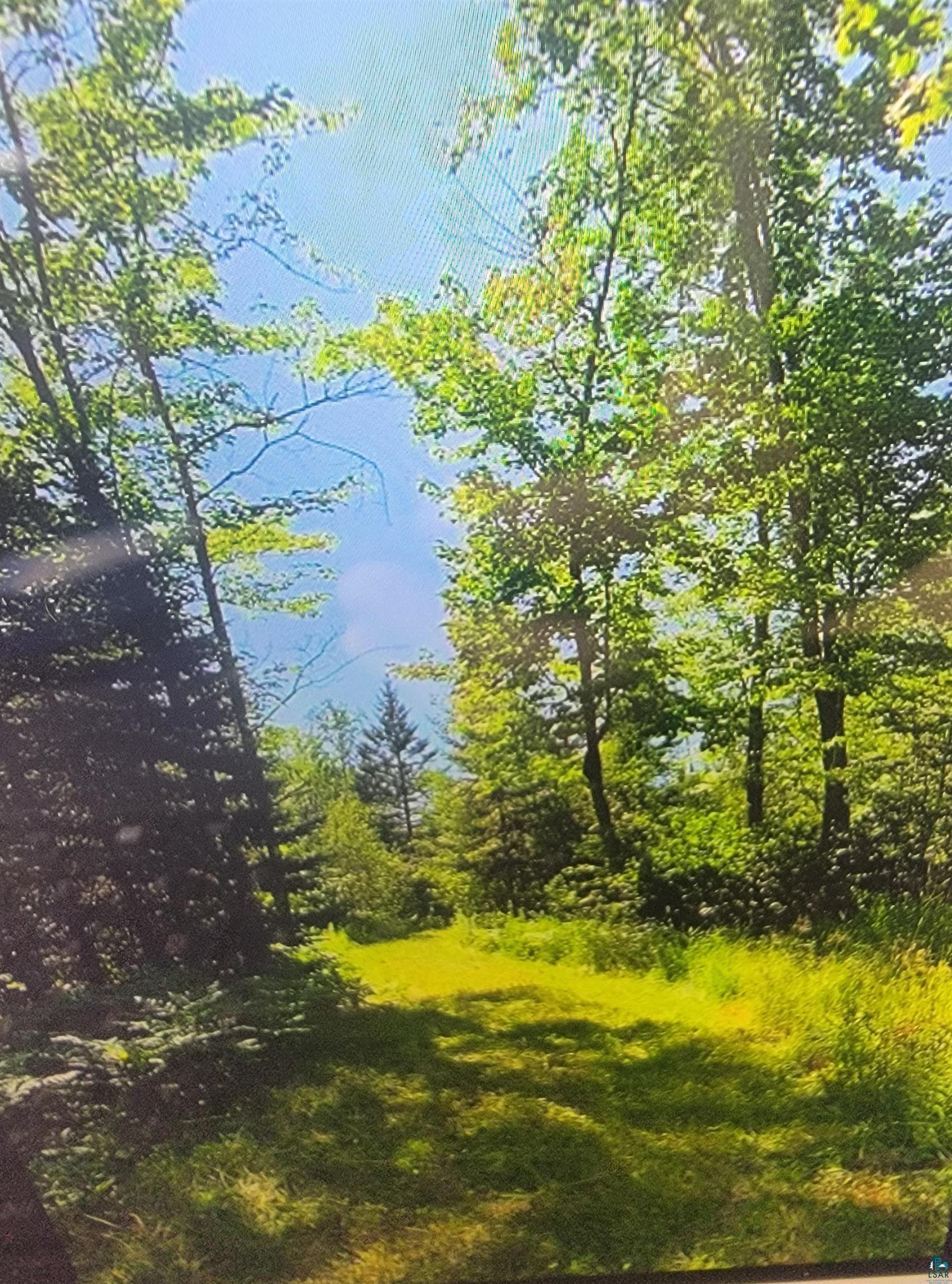 93355 Rowley Road Bayfield, WI 54814 - Photo 2 of 8 View of nature
