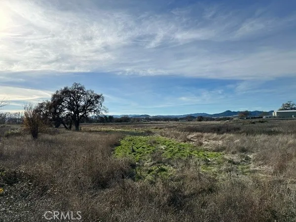 a picture of a park