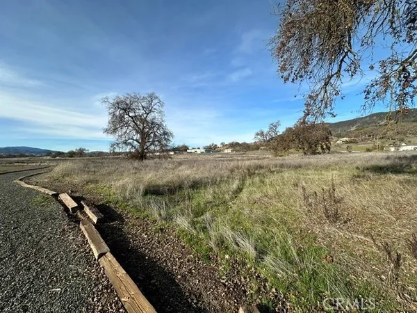a view of a dry yard with trees and bushes